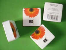 Square Shape Compressed Towel, No Printing on Towel (YT-661)