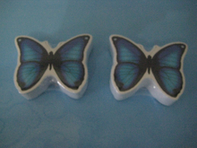 Butterfly Shaped Compressed Face Towel (YT-628)