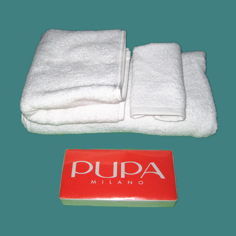 Printed Beach Towel Compressed or Uncompressed in 75*150cm, 350g/PC with Customer's Logo Printing (YT-101)