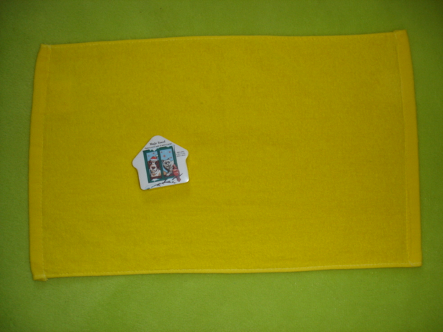 Plain Compressed Towel in House Shape (YT-645)